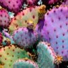 Rainbow Cactus Art Print By Justina Blakeney 1 Rainbow Cactus Art Print By Justina Blakeney -Jungalow 03 3547cab2 393b 4d96 ad29 75345d45029a