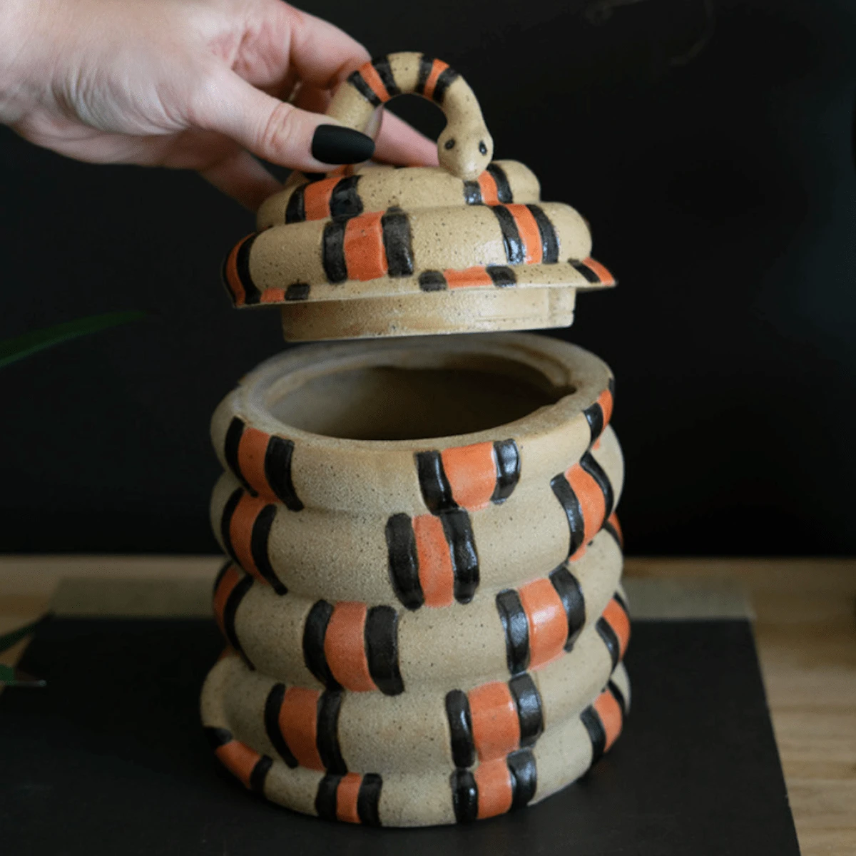 Coiled Snake Canister 4 Coiled Snake Canister - Image 2