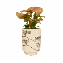 Jungalow Kaya Birdie Vase By Justina Blakeney™ -Jungalow birdieplanter