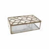 Geo Brass Mirrored Box -Jungalow box PhotoRoom 3