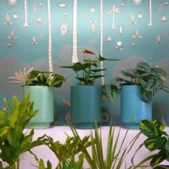 Jungalow Kiwi Green Kaya Vase By Justina Blakeney™ -Jungalow greenplanters