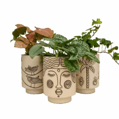 Jungalow Agatha Kaya Face Vase By Justina Blakeney™ -Jungalow groupplanters