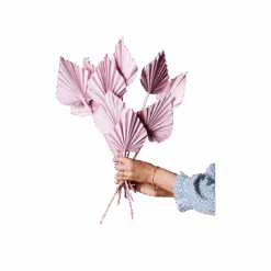 Jungalow -Jungalow pink spade palm best dried flowers and dried bouquets 30596752605236 PhotoRoom