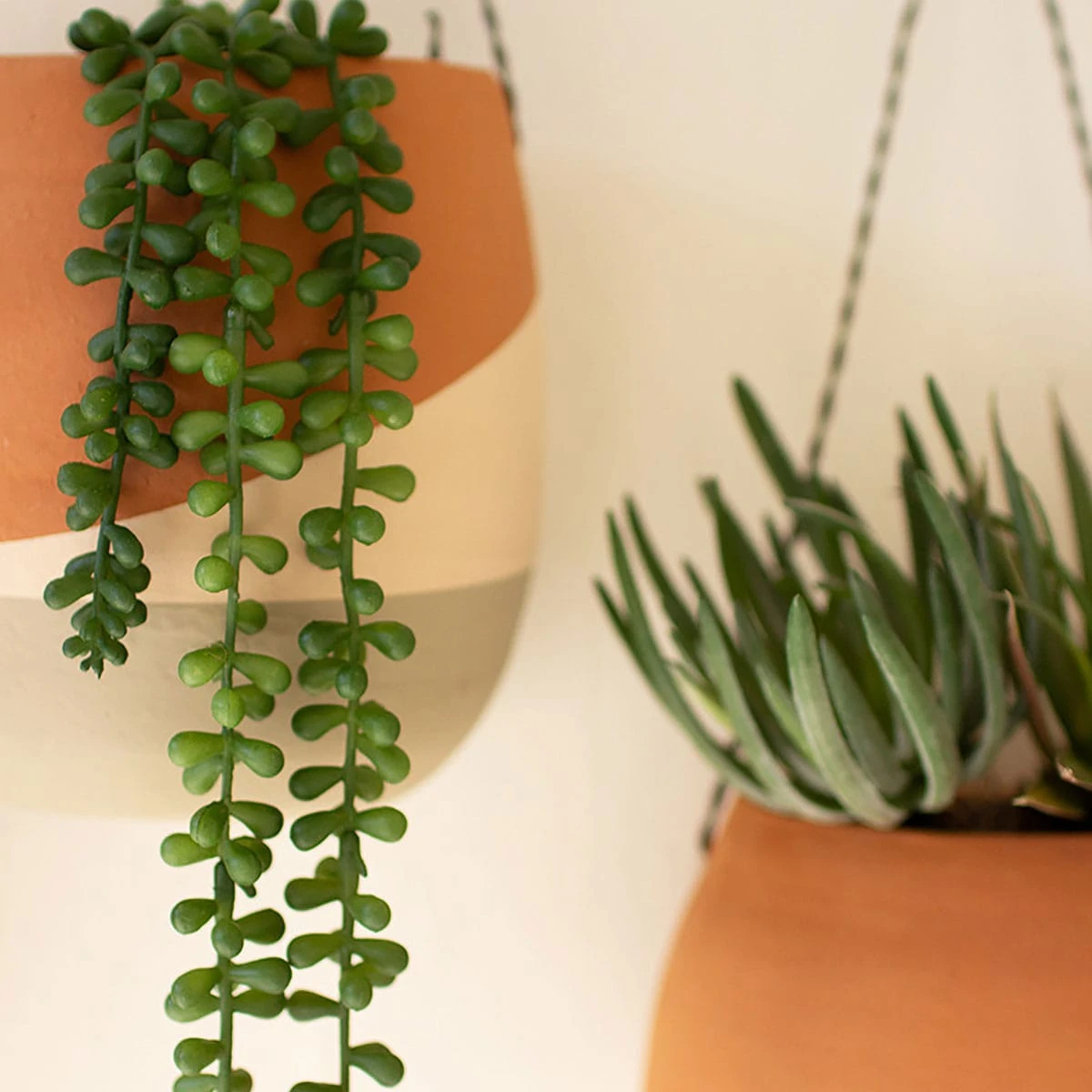 Color Dipped Wall Planter Set 4 Color Dipped Wall Planter Set - Image 2