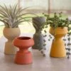Ceramic Planter Set -Jungalow planters 373ec502 2be6 4064 b074 c1af7f5d2504
