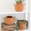 Terracotta Face Planter Set -Jungalow planterset a7133083 be3a 45f1 ac42 7e7d0ef9b9f9