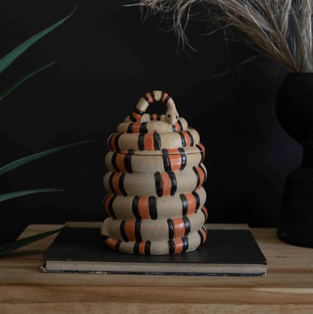 Coiled Snake Canister 3 Coiled Snake Canister