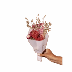 Amalia Bouquet -Jungalow the lark bouquet petite best dried flowers and dried bouquets 30747843821620 PhotoRoom